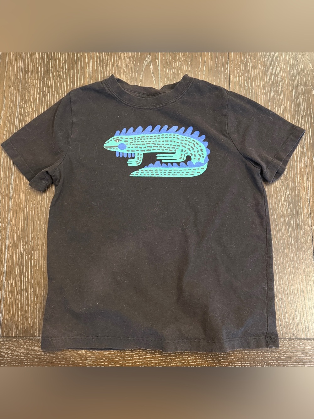 Hanna Andersson Boy’s 6-7 Black Short Sleeve Tshirt w/ Lizard Iguana Graphic